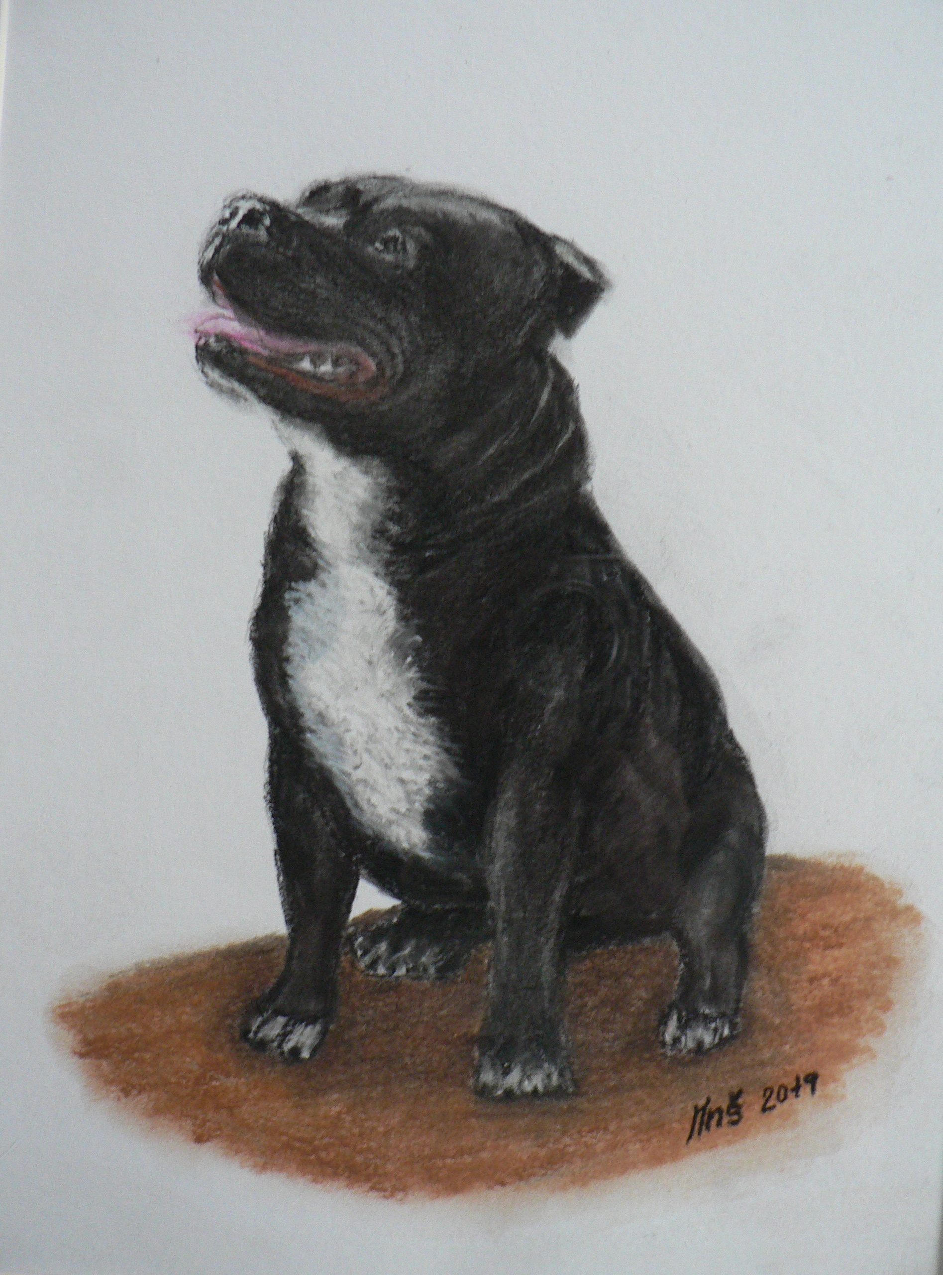 BLACK - suchý pastel - MAJITELEM JE SOUKROMÁ OSOBA
