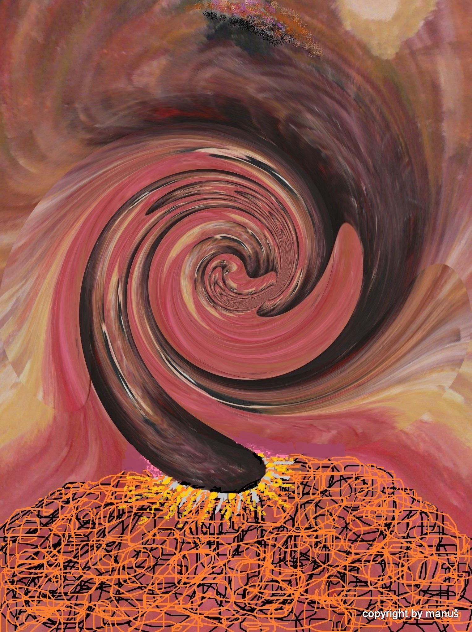 6 (2)