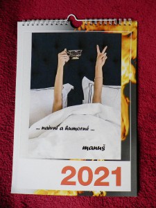 kalendar-2021---me-naivni-a-humorne-obrazky.jpg
