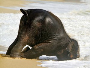 slune.png